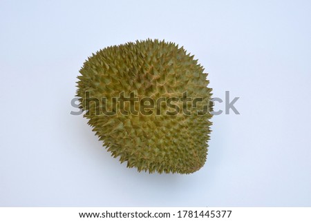Durian on a white background Called Phuang Manee Is a durian species in Thailand Has a small, tasty flavor, yellow flesh