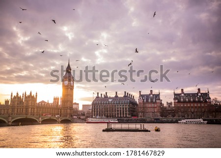 Yellow sunset behind the Big Ben building. Cloudy evening in London, near Thames River. Seagulls flying above the historic buildings of London