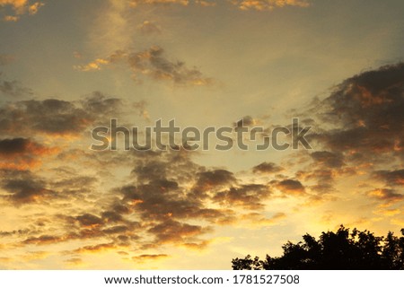 sunset with gray-blue clouds and forest