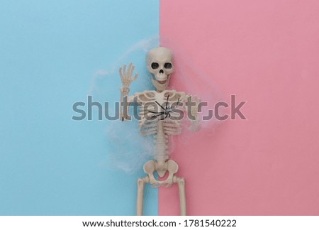 Fake skeleton in spiderweb on pink blue pastel background. Halloween decoration, scary theme. Flat lay. Minimalism