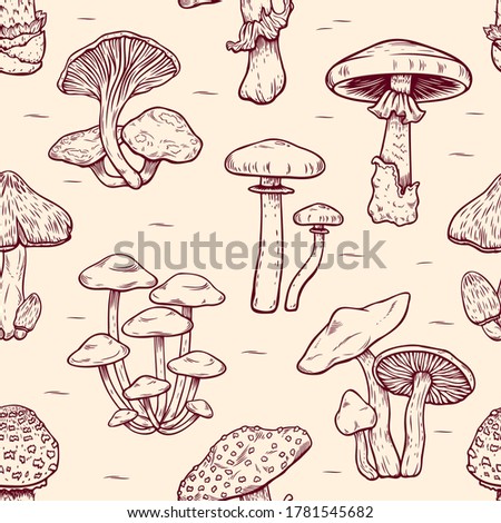 Seamless pattern of Forest types of poisonous mushrooms collection, edible and non-edible boletus in retro sketch style. Funny wallpaper for textile and fabric. Fashion style. Colorful bright.