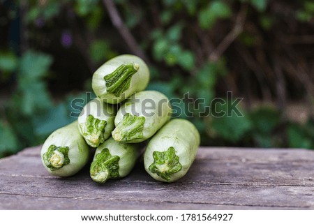 zucchini fruits fresh harvest food background top view copy space  organic eating healthy raw keto or paleo diet