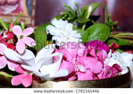 beautiful flowers in pot with rangoon criper, rose and pink oleander flower, decorative background, selective focus with blur.