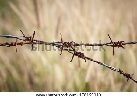 Barbed wire fence with Blurred Background Conceptual