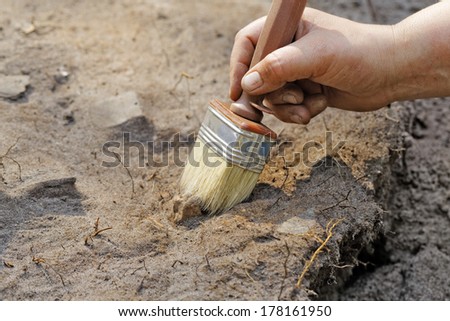 Archaeology: a thin layer stripping.One of the stages of excavation Royalty-Free Stock Photo #178161950
