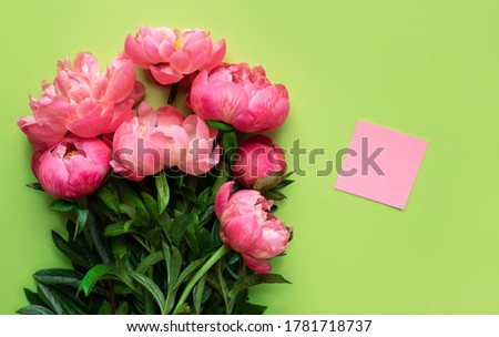 Postcard with flowers. Lush pink peonies. Bright green background. Place for the label. Green background