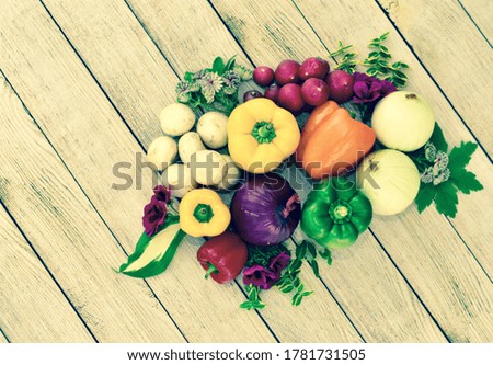 Artistically arranged fresh organic harvested vegetables ready for preparing healthy lifestyle good eating using meal kit ingredients