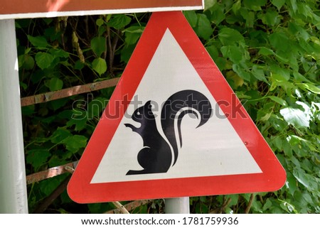 A road sign in front of a green bush warning of squirrels on the island of Arran, Scotland in summer
