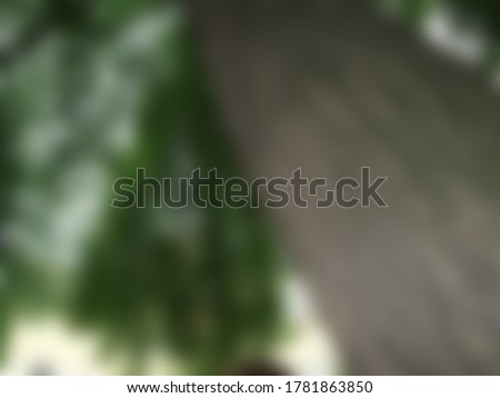 Abstract blurred nature slide background