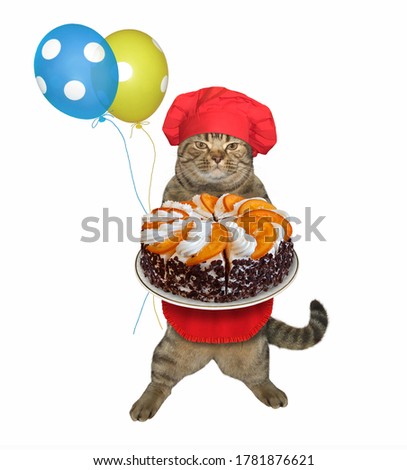 The beige cat in red cook uniform with colored balloons is holding a fruit cake on a tray. White background. Isolated.