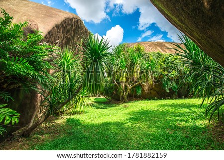 Natural background in the park with many kinds of plants, large stones, allow tourists to stop and take photos while traveling, the beauty of the ecosystem