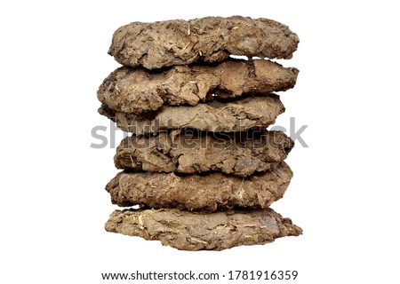 dry Cow Dung Cakes for hawan kund . dung cake on white background. dung cake for dhup  Royalty-Free Stock Photo #1781916359