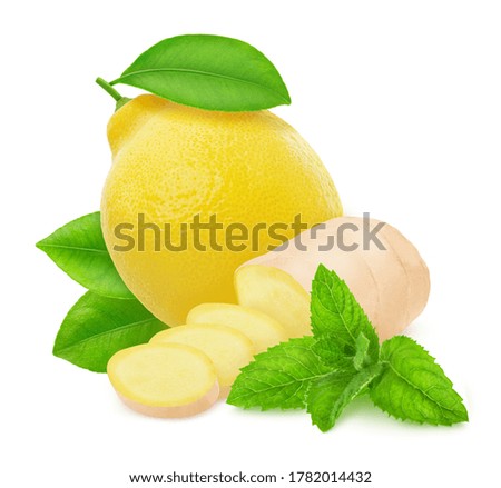 Composition with lemon and ginger isolated on a white background. Clip art image for package design.