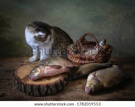 Still life with fish and curious cat	