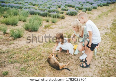 Cheerful friendly family is resting in village. The mother and children with cute little dog is playing. The mother and two little children are kneeling and holding hands. They are smiling.