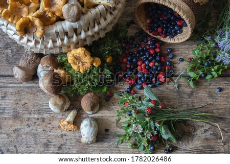 Still life with mushrooms and wild berries	