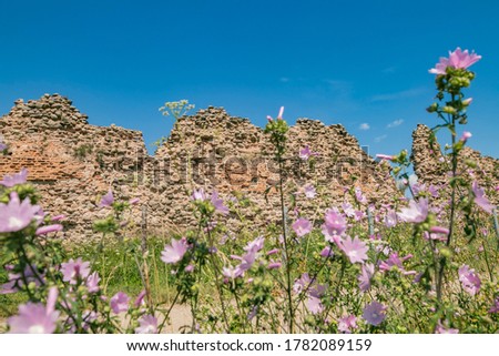 The ruins of the Castle in Krevo, Belarus