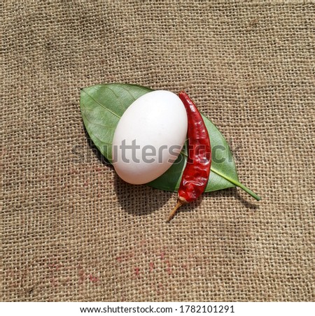 White egg and leaves  on the jute fabric background