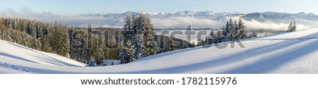Amazing Panorama View from Snow Mountain with Forest to snowy Mountain Range above foggy cloud layer. Sea of clouds. Hauchenberg near Diepolz in Allgau, Bavaria, Germany.