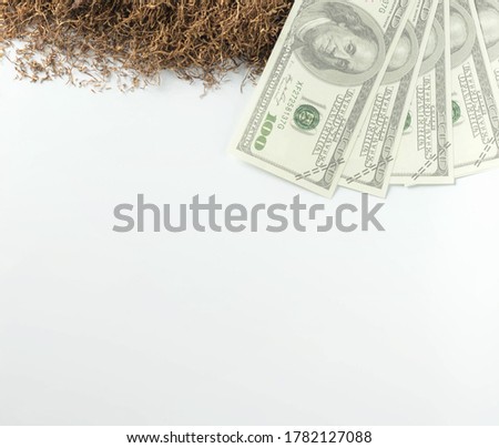 banknote lay on tobacco heap in white background from top view with copy space. concept for tobecco trading, tobecco economy.