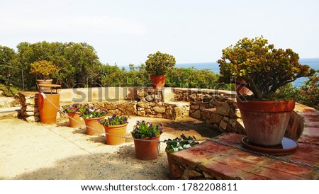 spain, flower pots in the park, sea view