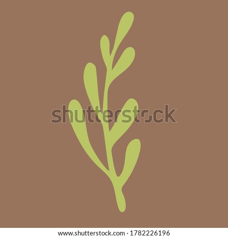 Vector doodle illustration of potherbs. Hand drawn healthy farm vegetable isolated on white background. Organic veggie grown in the garden.