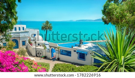 Panoramic landscape with typical white blue houses  and beautiful view of seaside. Sidi Bou Said, Tunisia, North Africa Royalty-Free Stock Photo #1782226916