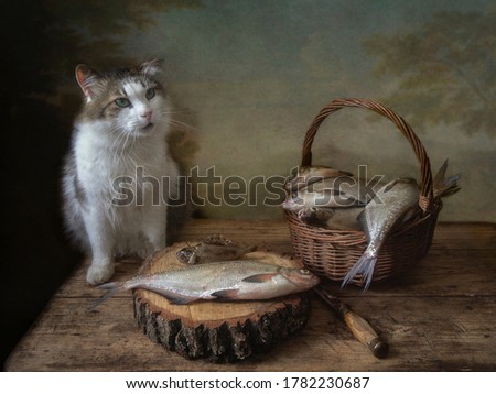 Still life with bream fish and cute cat	