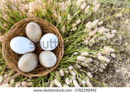 Easter eggs in gray and white tones, in a wicker basket, on a background of wild plants.Conceptual symbol.Free space.