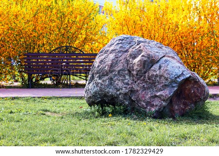 Big stone in the city park park. Background of flowering bushes of yellow forsythia. Spring, sunny day in the garden. Royalty-Free Stock Photo #1782329429