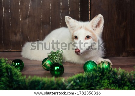 white fox with green New Year decorations
