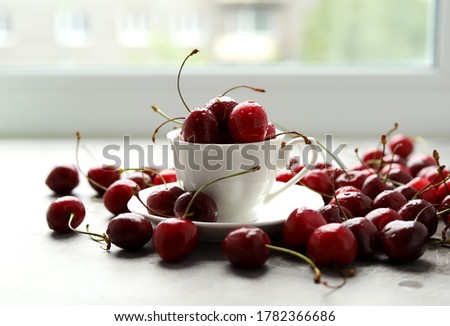 Fresh cherries in a small white coffee Cup and around on a gray cement surface. Selective focus. The harvest of berries. Delicious natural healthy Breakfast.