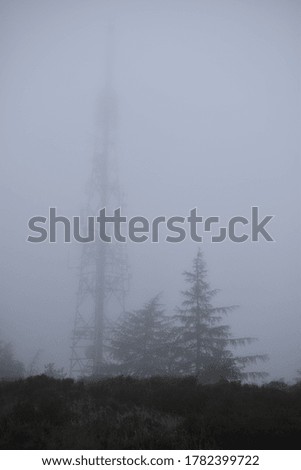 Foggy weather covering trees, marshes, and a radio tower on a grey day