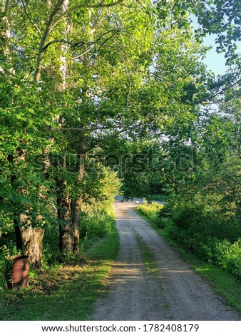 A long, dirt road in the country with a rusty burn barrel next to a tree. Tall, beautiful trees hanging over a lengthy, dirt driveway at a home in Monteagle, New Brunswick, Canada.