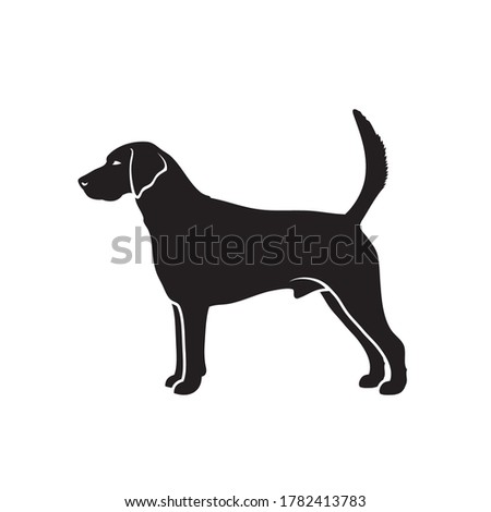 Foxhound dog - isolated vector illustration