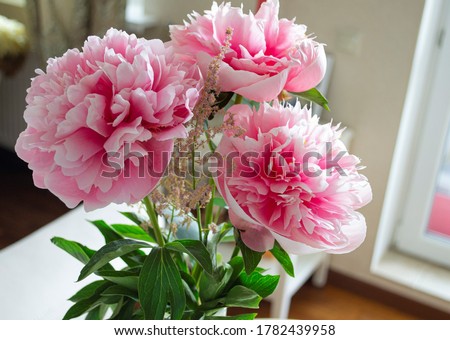 A bouquet of large pink blossoming peonies and decorative elements. In a home environment, in natural daylight