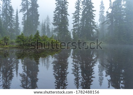 Mist Morning at Goldie Lake Royalty-Free Stock Photo #1782488156