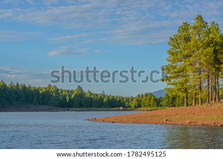 The beach of Dogtown Lake, camping and picnic grounds in the Kaibab National Forest, Arizona