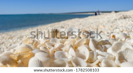 A nice stroll on the amazing Shell beach in Shark bay