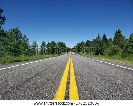 A stright yellow line on road toward forest Royalty-Free Stock Photo #1782518036