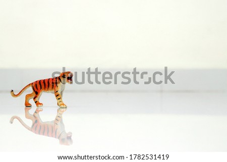 A miniature tiger cub over white background.Copy space.