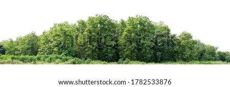 Tree line isolated on a white background Royalty-Free Stock Photo #1782533876