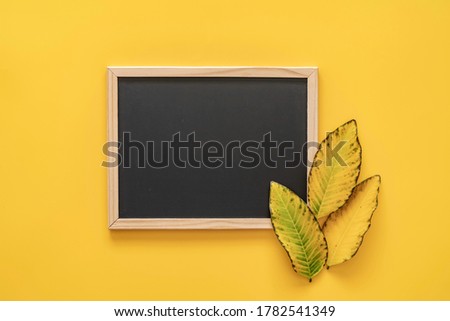 Back to school concert. Teacher day concept. Chalkboard and fallen leaves on yellow background.