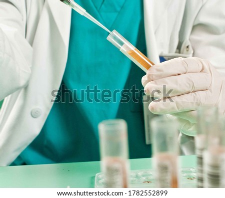 Testing for respiratory disease (coronavirus disease 2019 (COVID-19) and its associated SARS-CoV-2 virus is possible by two main methods: molecular recognition and serological testing. Molecular metho Royalty-Free Stock Photo #1782552899