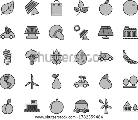 Thin line gray tint vector icon set - saving light bulb vector, drop, porcini, cabbage, apple, pear, mint, tangerine, yellow lemon, delicious, peas, broccoli, solar panel, big, leaves, leaf, trees