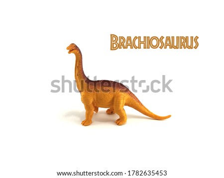 Brachiosaurus toy dinosaur isolated in white background