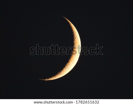 shot of the moon in one summer night 2020