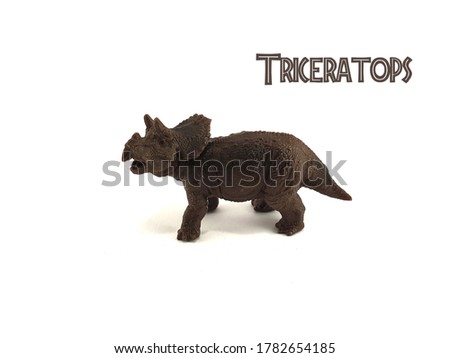 Triceratops dinosaur toy isolated in white background