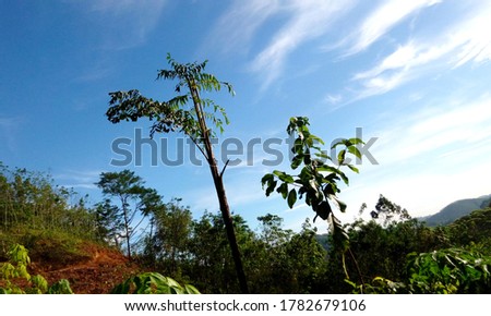 Colorful background with clouds in the morning nature photography