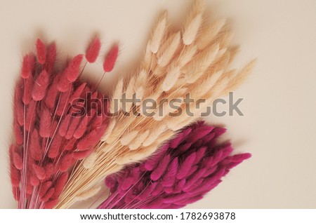 artificial flowers on beige background